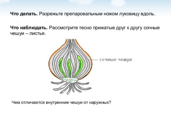 Кракен личный кабинет